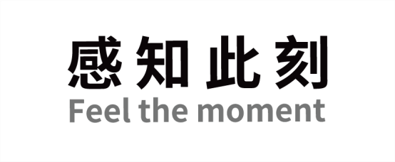 瑞沃SVAVO智能 感知此刻