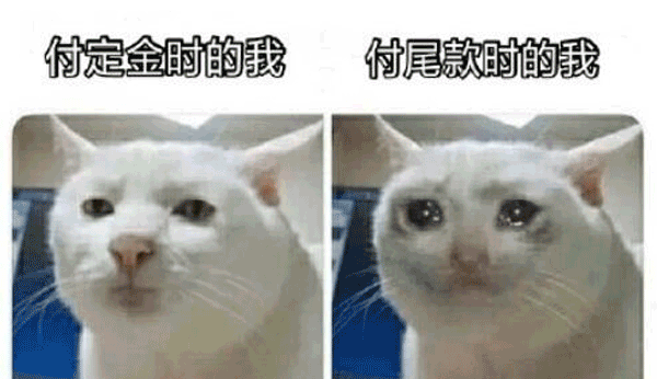 天猫旗舰店热梗尾款人