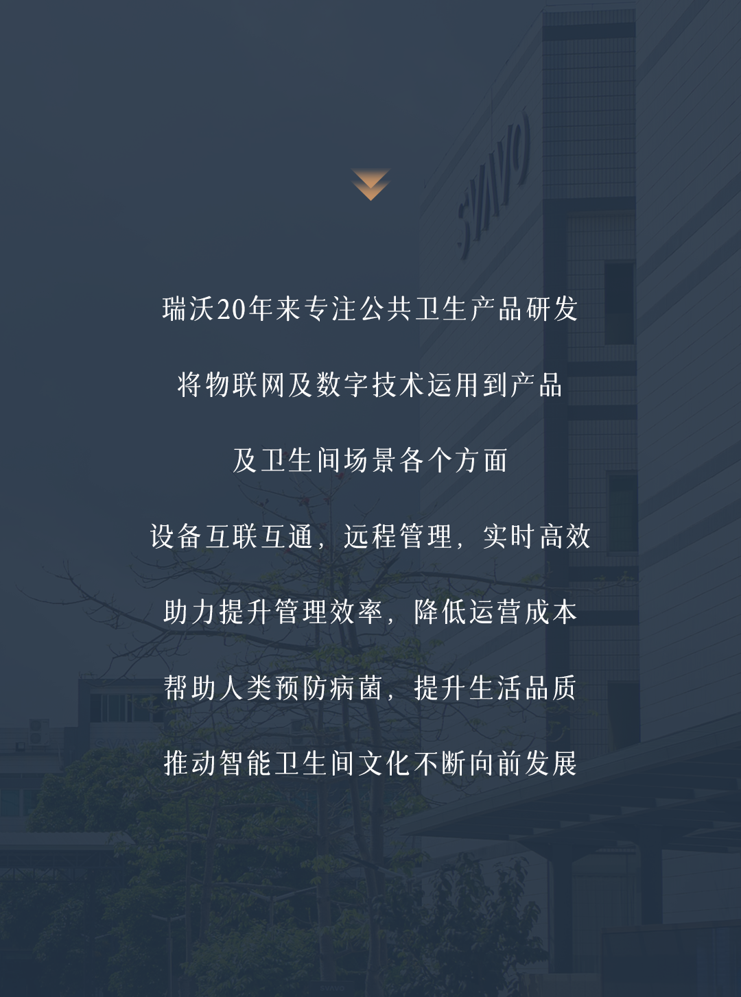 SVAVO瑞沃 20周年